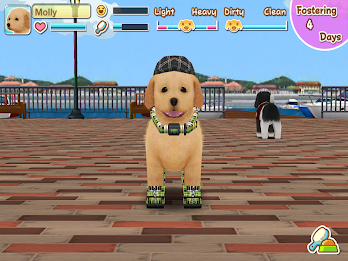 My Dog My Room 2 poster 12