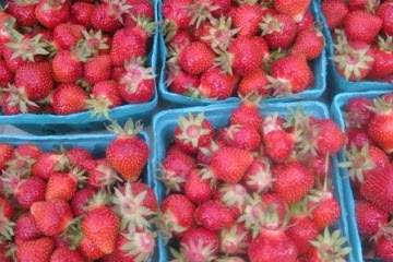 Grilled Strawberries with Lemon Thyme Sorbet