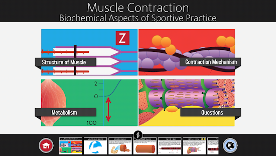 "Muscle Contraction App for Android" icon