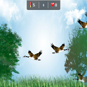 Duck Hunting icon