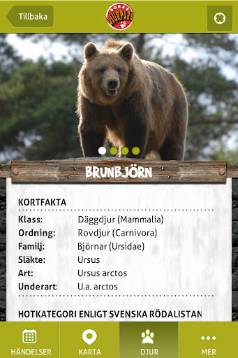 Borås Zoo