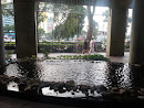 Rain Fountain