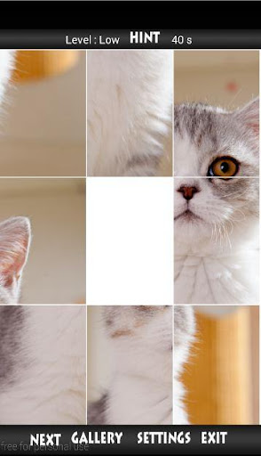 Cat Wallpaper Puzzle