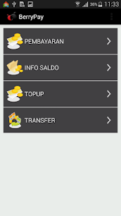 BerryPay Screenshots 2