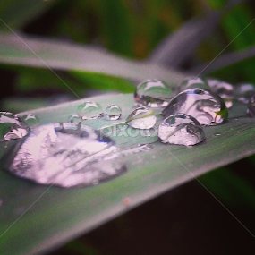 Waterdrops by Rully Kustiwa - Instagram & Mobile Instagram