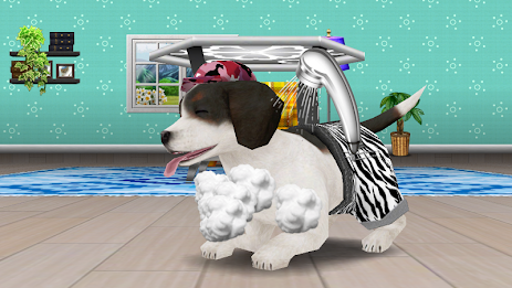 My Dog My Room 2 poster 13