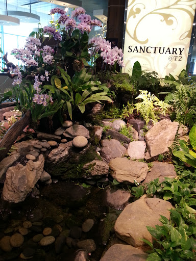 The Water Feature of T2 Sanctuary