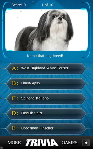 Name that Dog Breed Trivia