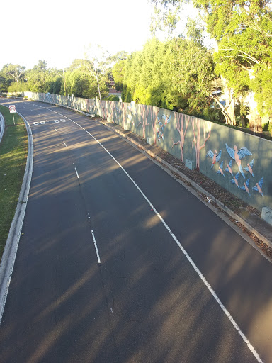 Dolphin, Bird and Cockatoo Mural Wall