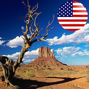 In Sight - USA