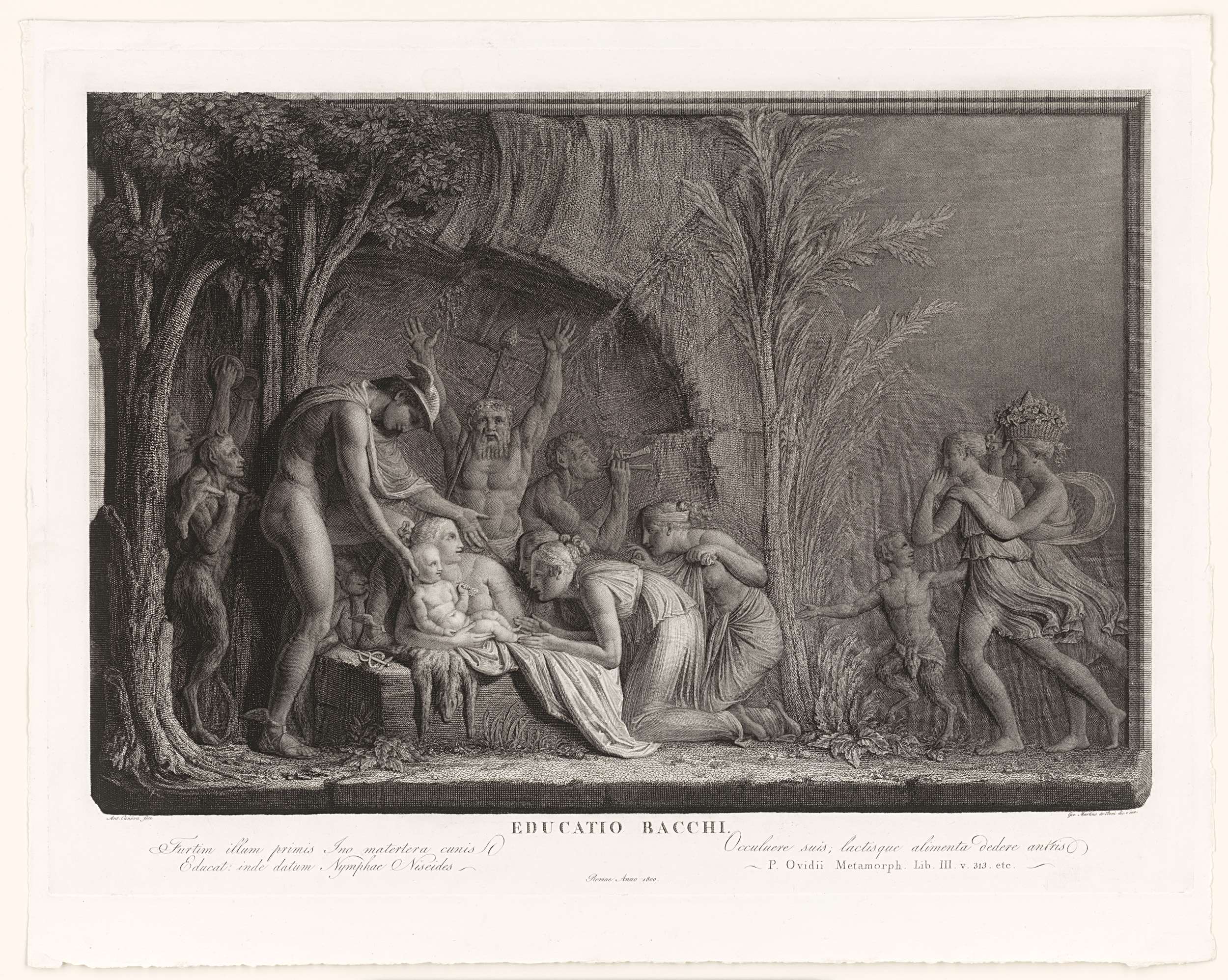 The Education of Bacchus