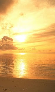 Free Evening surf live wallpaper APK