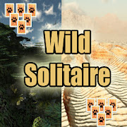Wild Solitaire 1.0.5 Icon