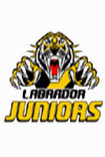 Free Download Labrador Junior AFC APK for Android
