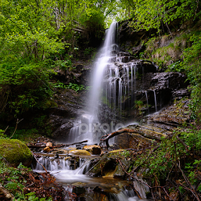 Waterfall by Ioan Todor - Nature Up Close Water