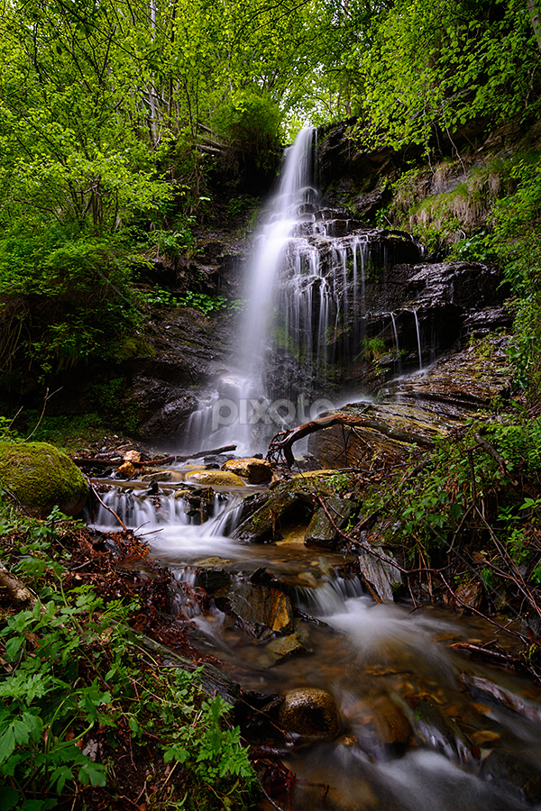 Waterfall by Ioan Todor - Nature Up Close Water