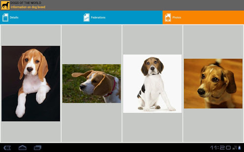 Dogs of the world(圖8)-速報App