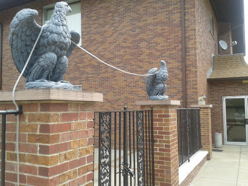 Eagle Guards and Little Bear