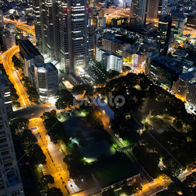 Tokyo City at night by Pranav S - Buildings & Architecture Office Buildings & Hotels