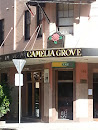 Camelia Grove