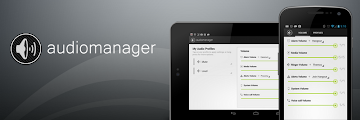 AudioManager Pro 4.0.4 apk
