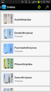 Pest Thrips of East Africa(圖6)-速報App