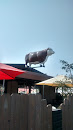 Cow On Roof
