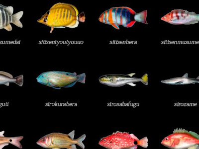 [コンプリート！] 釣り 魚 ���鑑 アプリ 255426-釣り 魚 ��鑑 アプリ