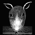 A Rat Named Bove logo