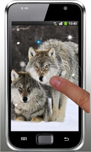 Wolf Best live wallpaper Screenshots 4