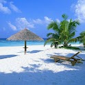 Maldives  Wallpaper logo