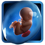 Cover Image of Tải xuống PregApp - 3D Pregnancy Tracker 1.0.5 APK