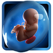 PregApp - 3D Pregnancy Tracker  Icon