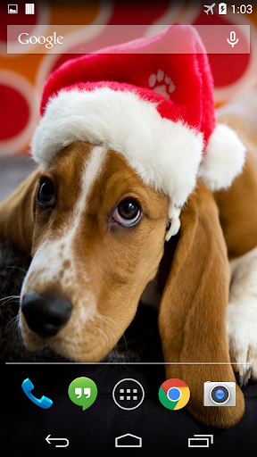 Christmas Dog Live Wallpaper