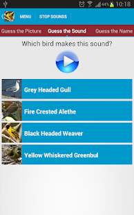 African Birds Sounds Free(圖5)-速報App