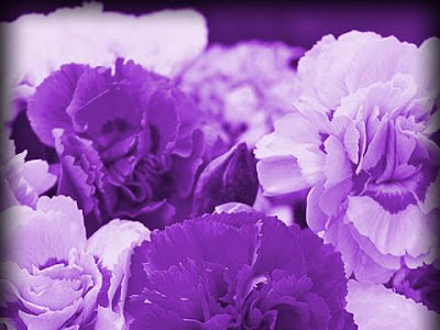 [最も選択された] 紫 花柄 壁紙 334110-紫 花柄 壁紙