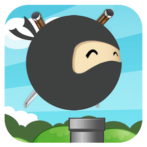 Ninja Plunge 12