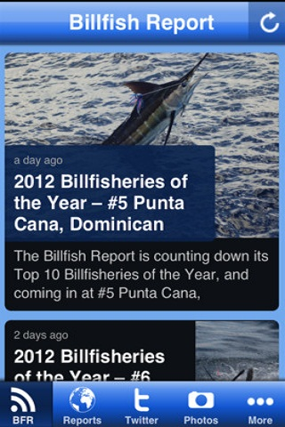 Billfish Report