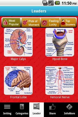 A-Z: Full Body Anatomy Screen 2