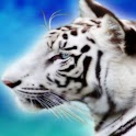 3D Wildlife Wallpaper logo