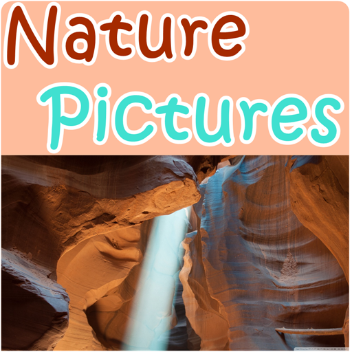 Nature Pictures