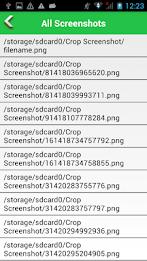 Capture Screenshot poster 23