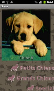 How to install Dog Sounds 1.1 apk for bluestacks