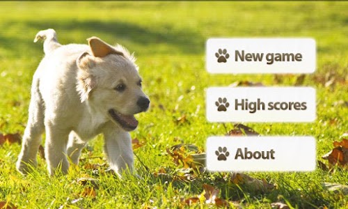 Android application Dogs Memory Game screenshort