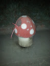 Red Mushroom 7