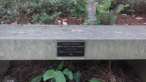 Betty Barron Memorial Bench