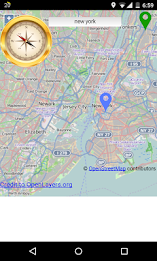 map with compass poster 3