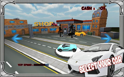 Real Car Race poster 13