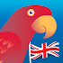 Speak English! (free)1.0.4