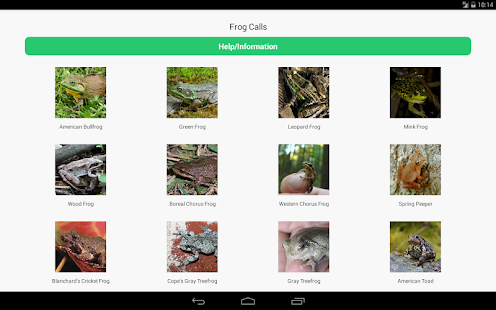 Free Frog Calls APK for PC